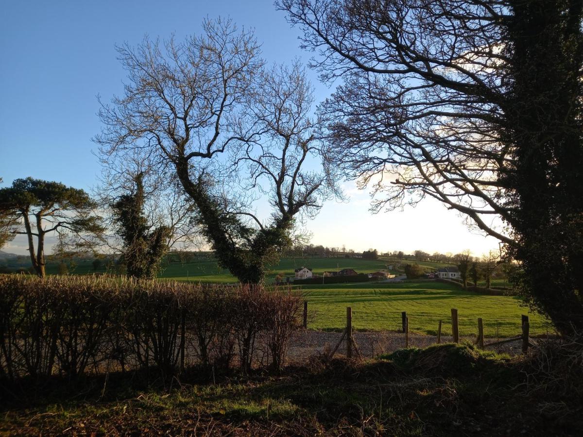 Derrywilligan Guest Accommodation Bessbrook Eksteriør bilde